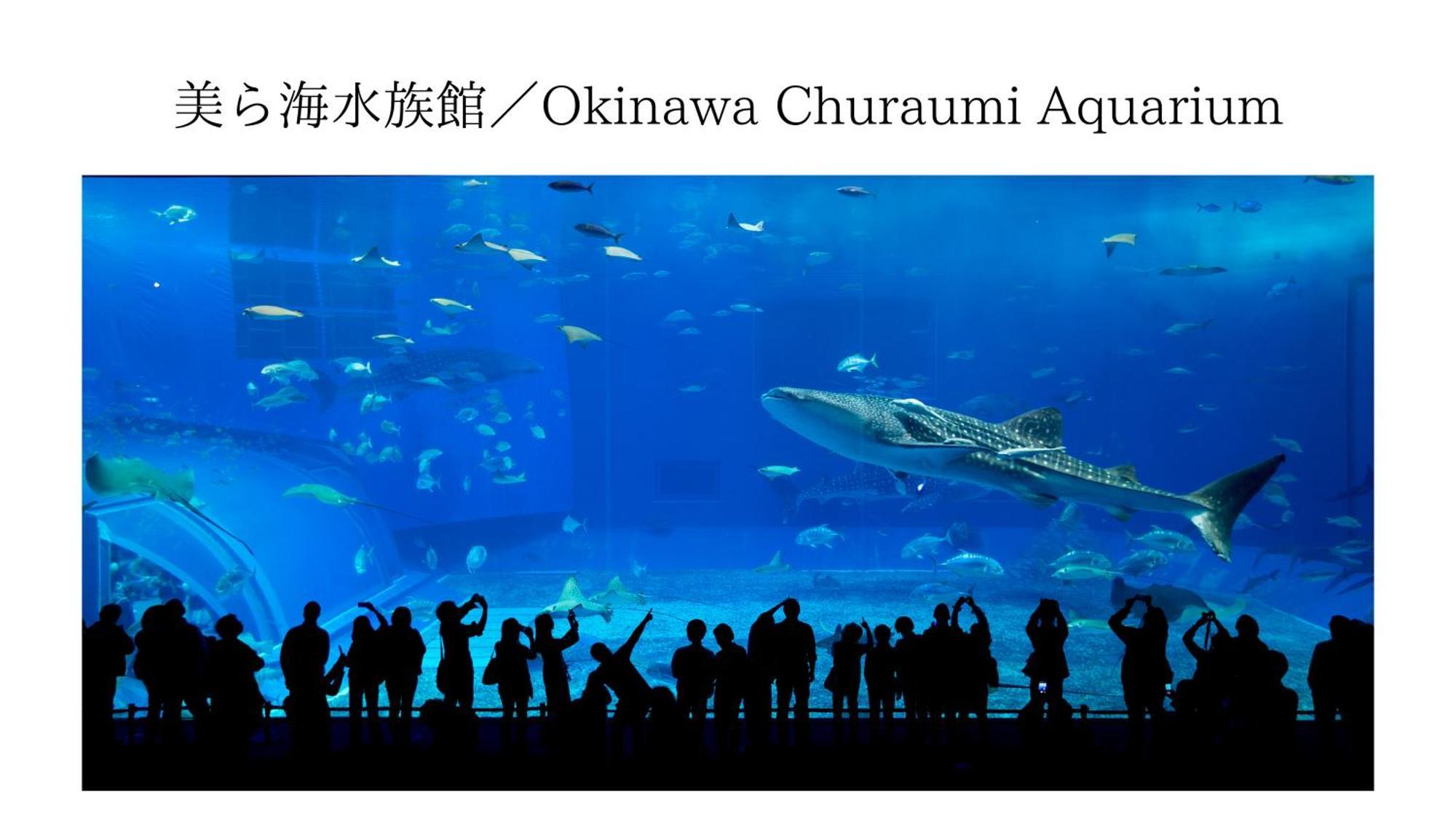 אונה Aqua Shallows מראה חיצוני תמונה